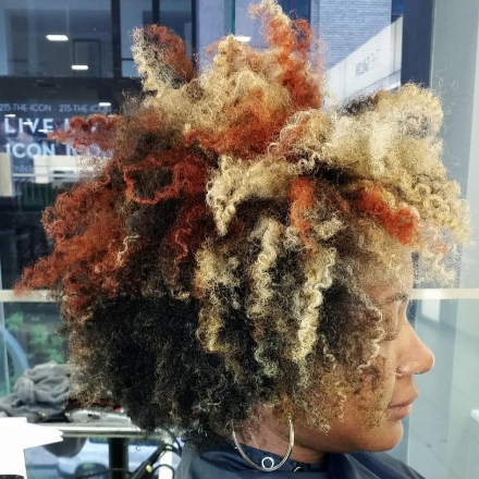kara anderson funky colored twist out