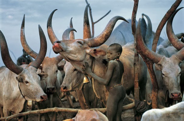 Impresionantes-imágenes-de-una-tribu-de-Sudán-20